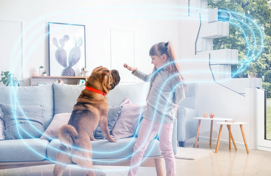 Inklusivausstattung-Lueftung